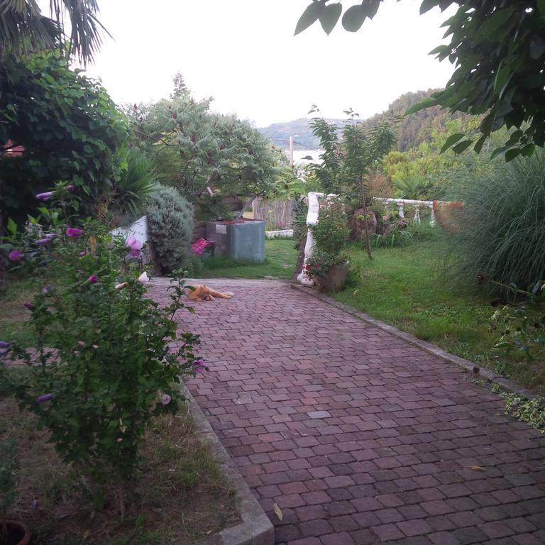Soncne Terase Apartament